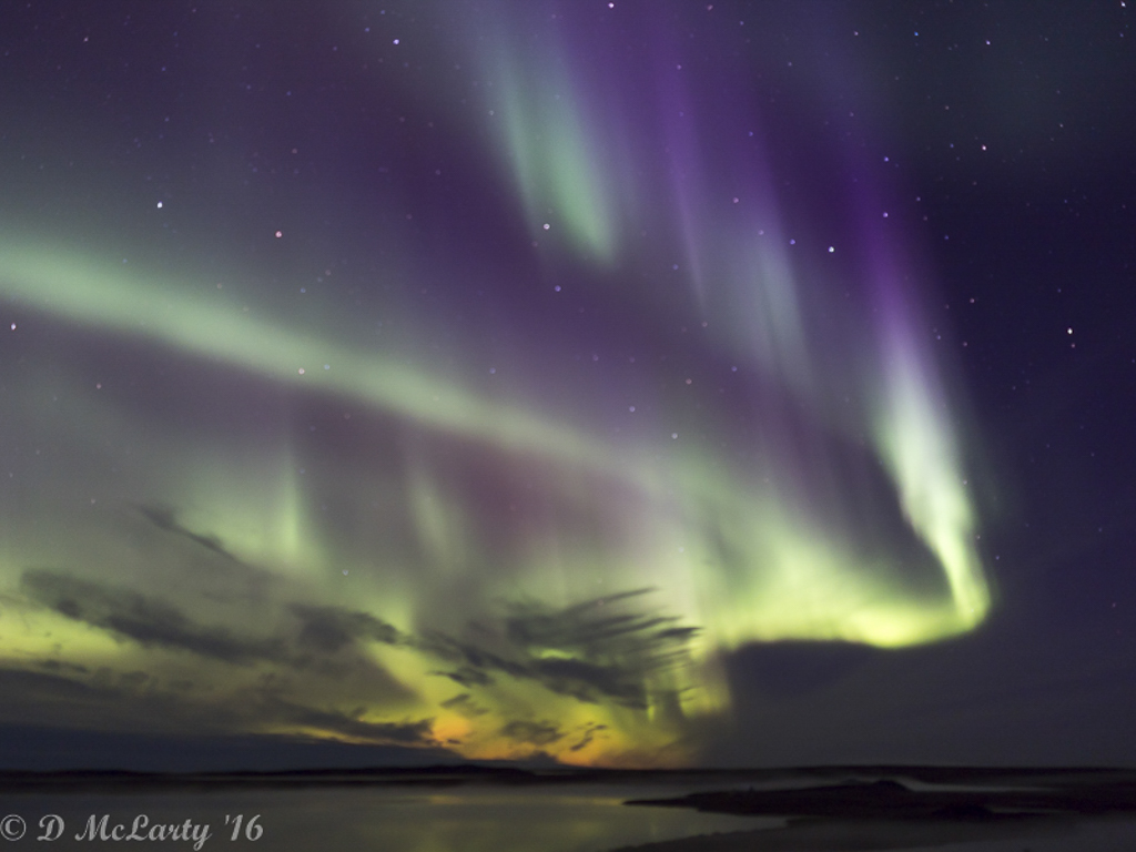 NightSkies and Auroa